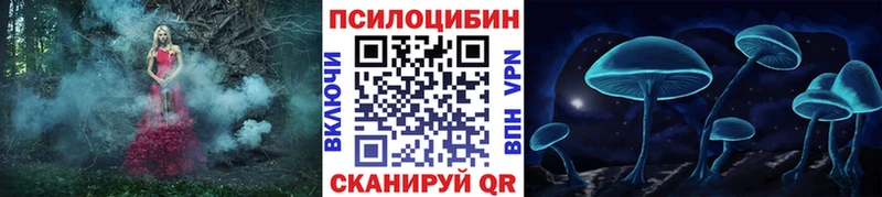 блэк спрут ТОР  как найти закладки  Нефтегорск  Галлюциногенные грибы Magic Shrooms 